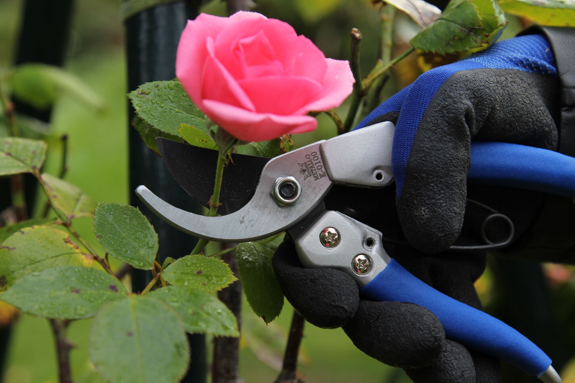 K-0900 - Pruning shears - Keizerskroon Metallo