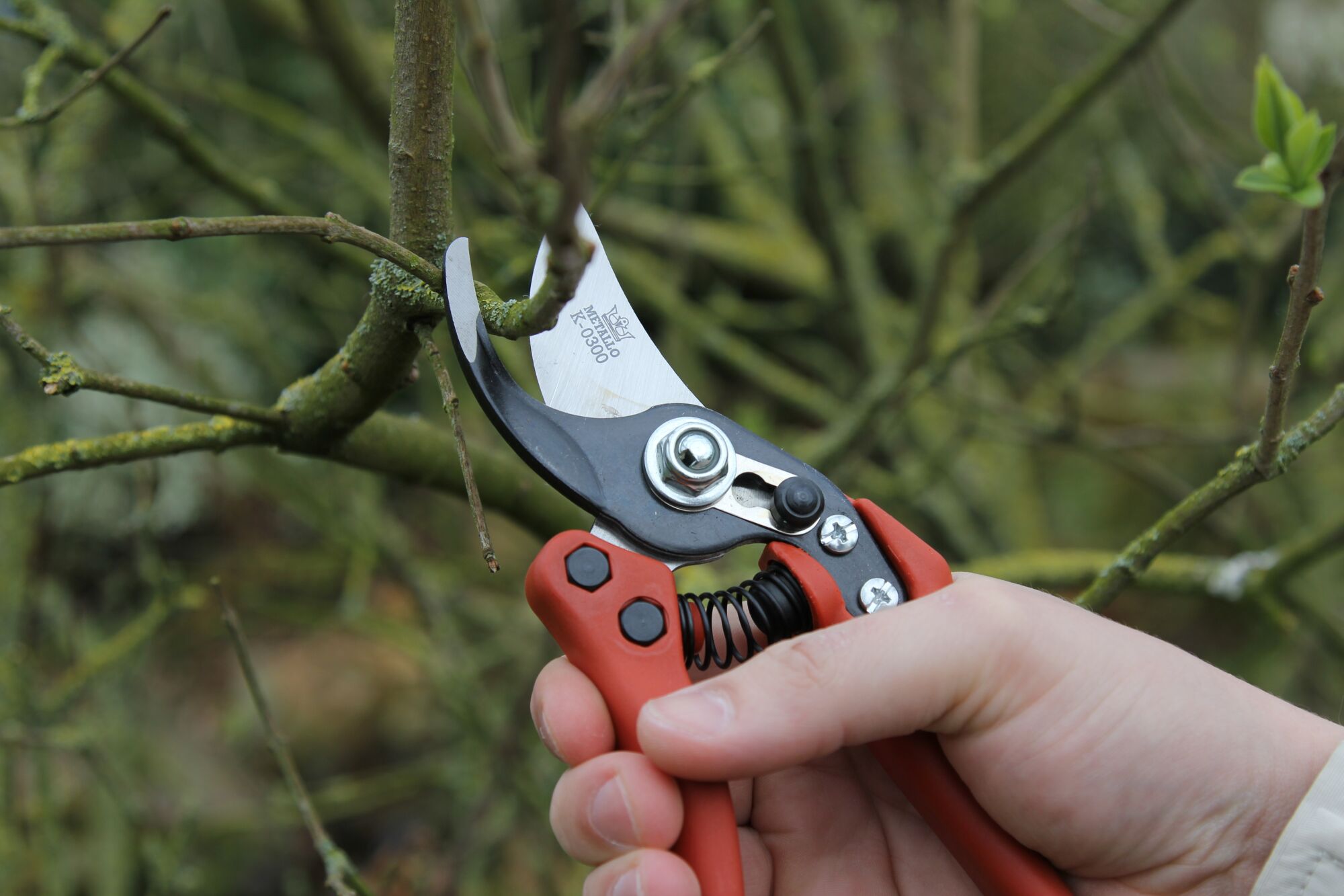 K-0900 - Pruning shears - Keizerskroon Metallo